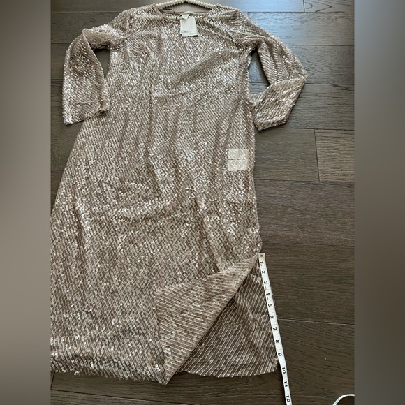 H&M Women’s sequin Beige Mesh dress Brand new Sz Large - Picture 11 of 15